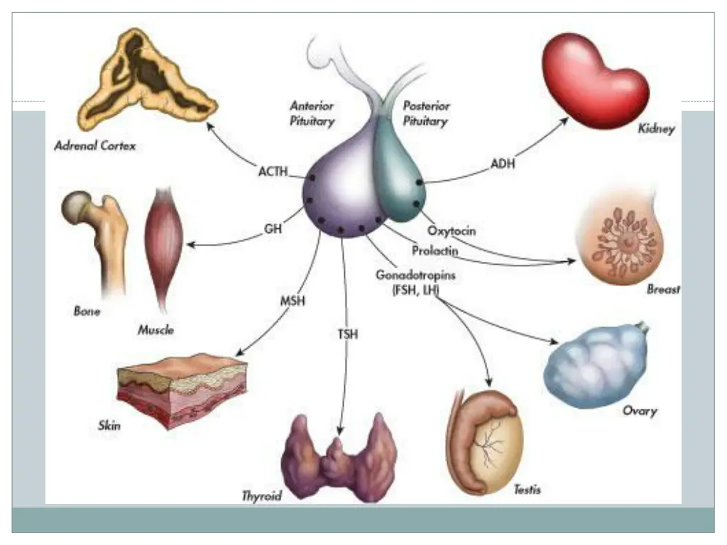 slide3