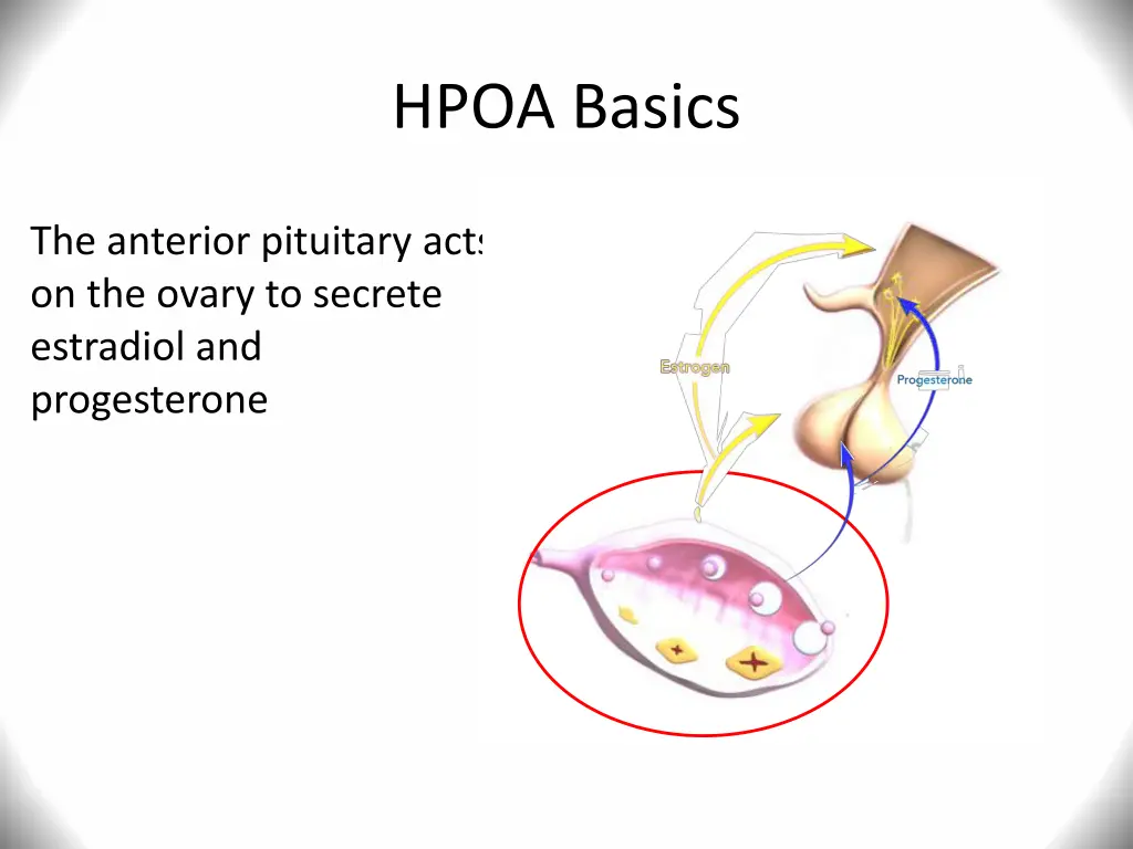hpoa basics