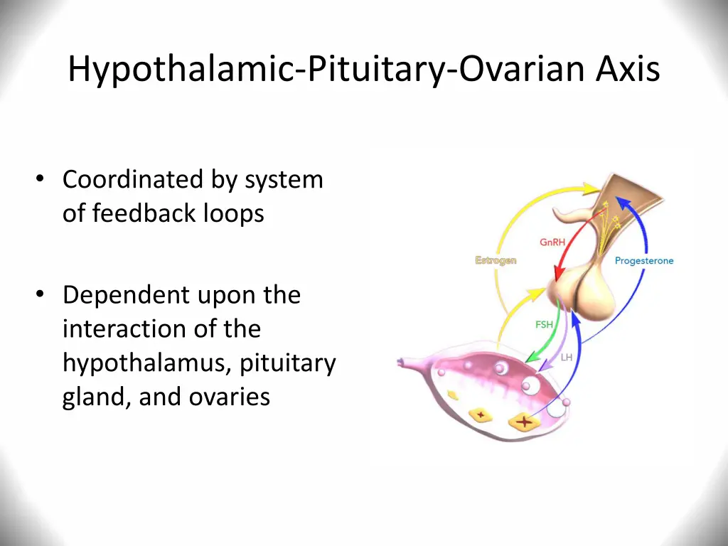 hypothalamic pituitary ovarian axis