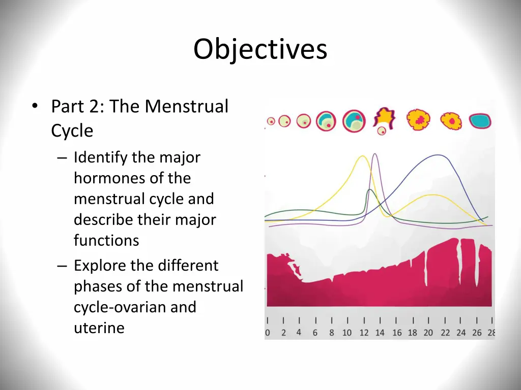 objectives 1