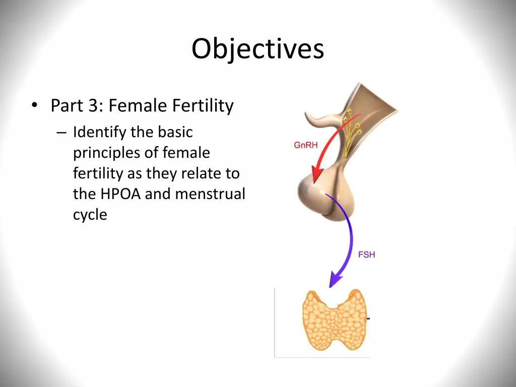 objectives 2