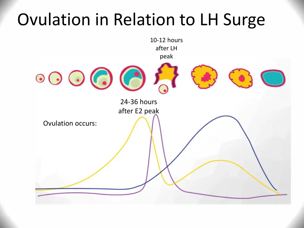 ovulation in relation to lh surge