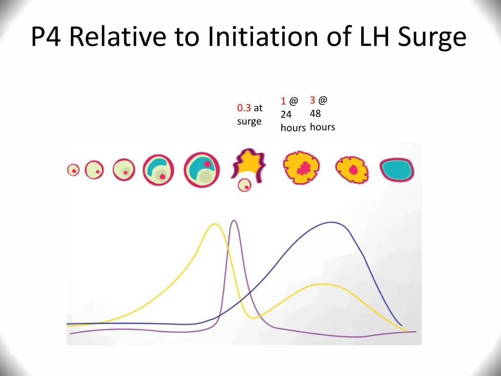 p4 relative to initiation of lh surge