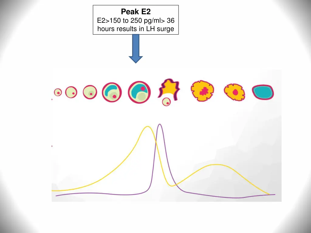 peak e2