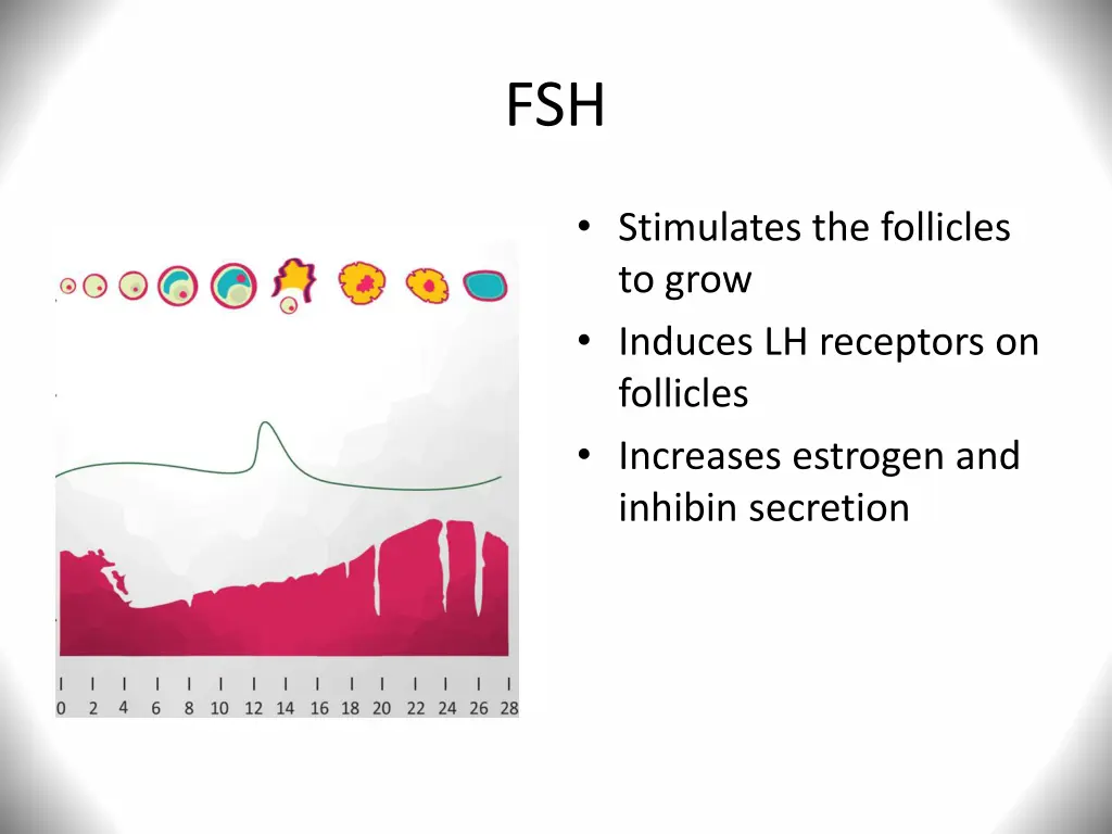 slide12