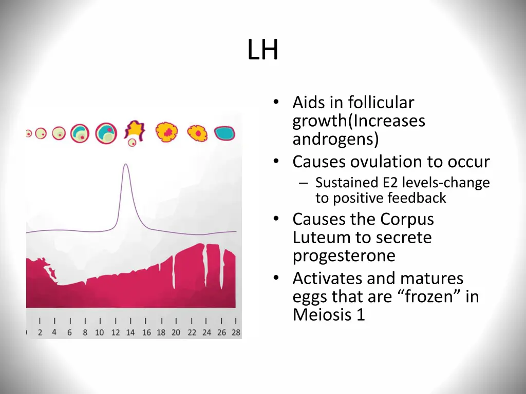 slide13