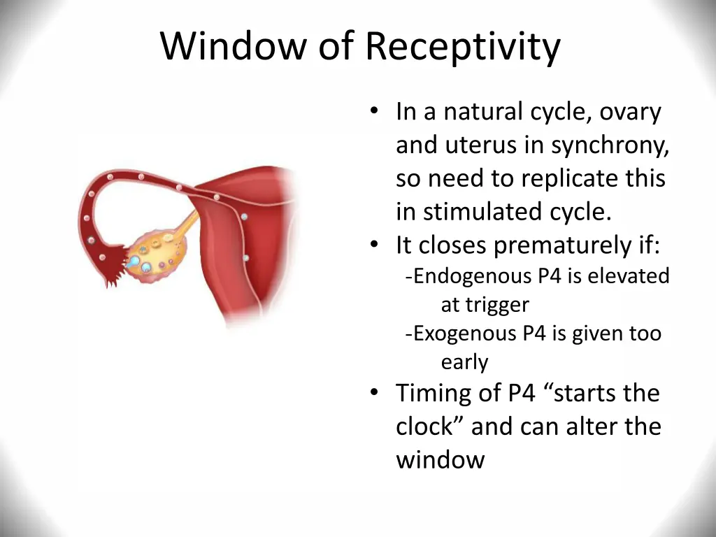 window of receptivity