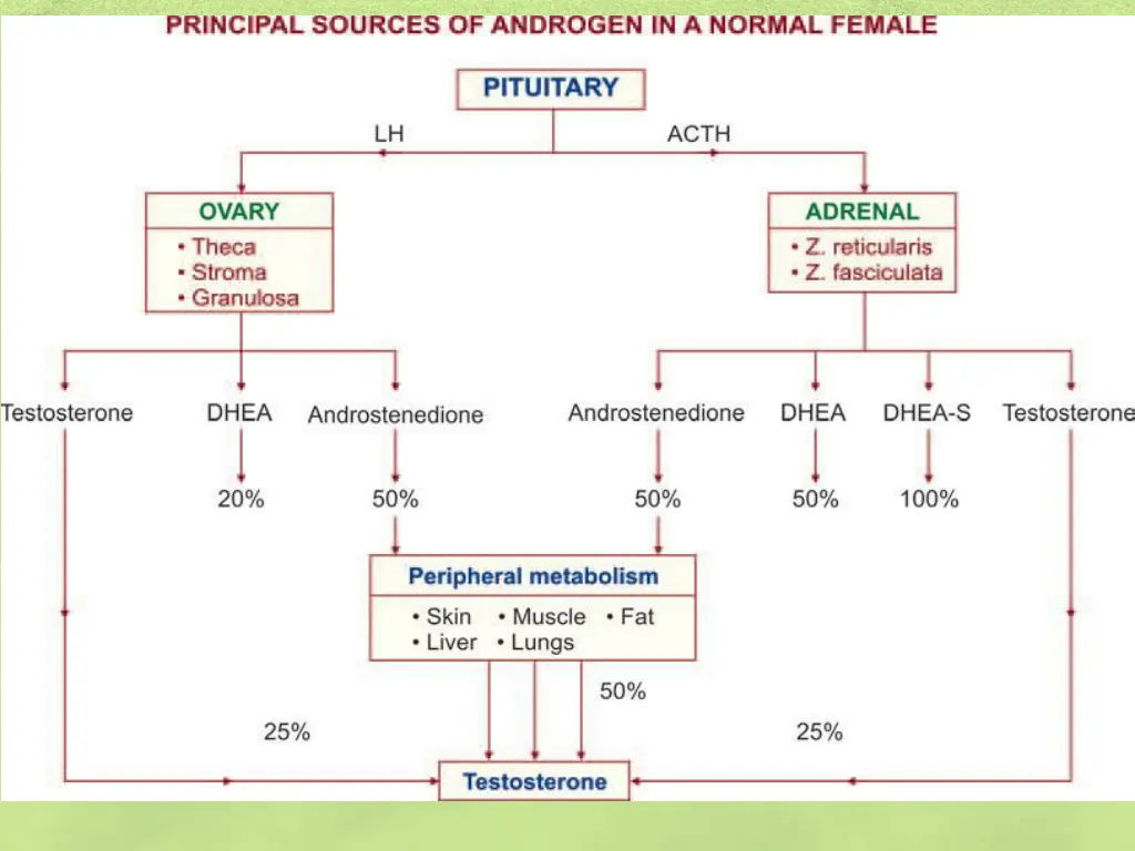 slide4