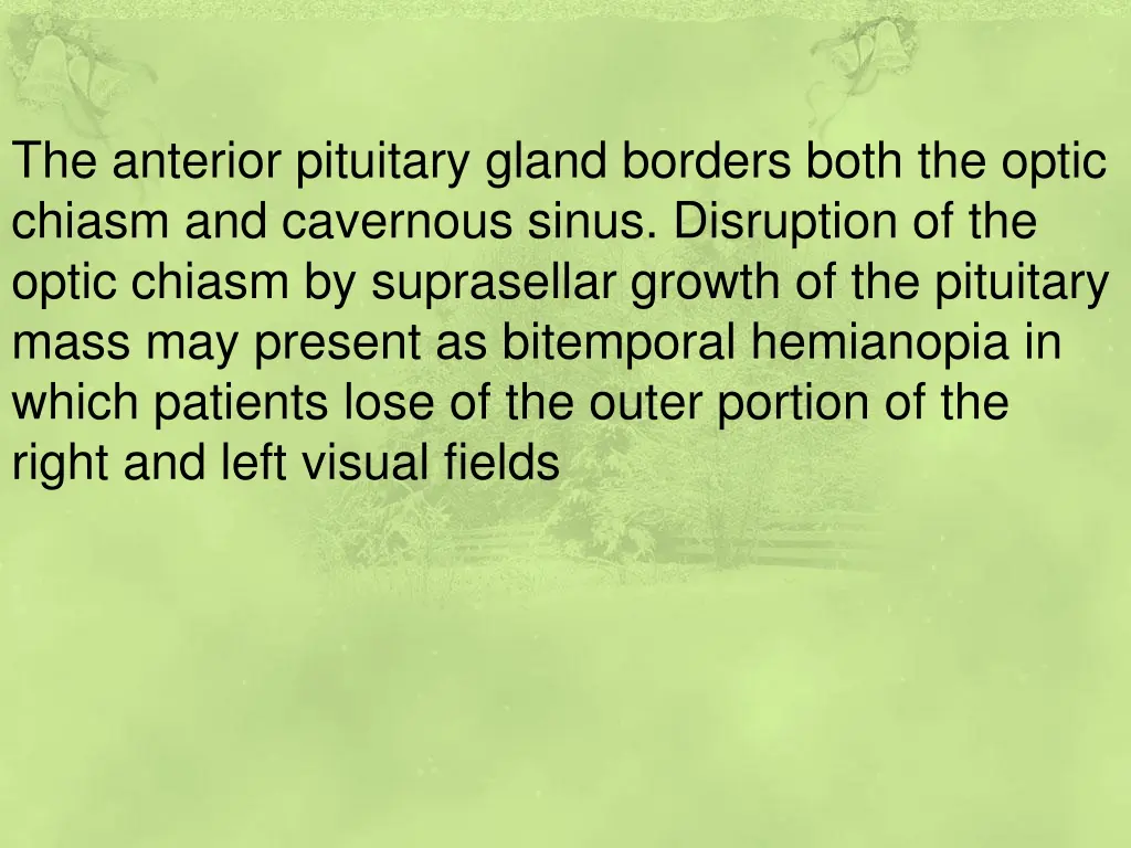 the anterior pituitary gland borders both