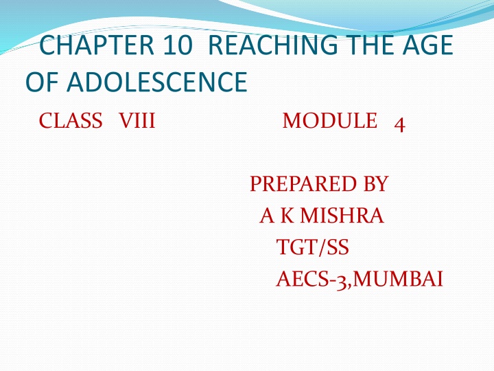 chapter 10 reaching the age of adolescence