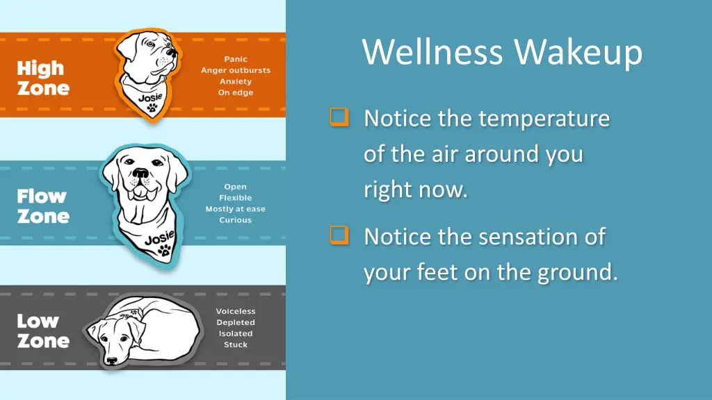 wellness wakeup 20