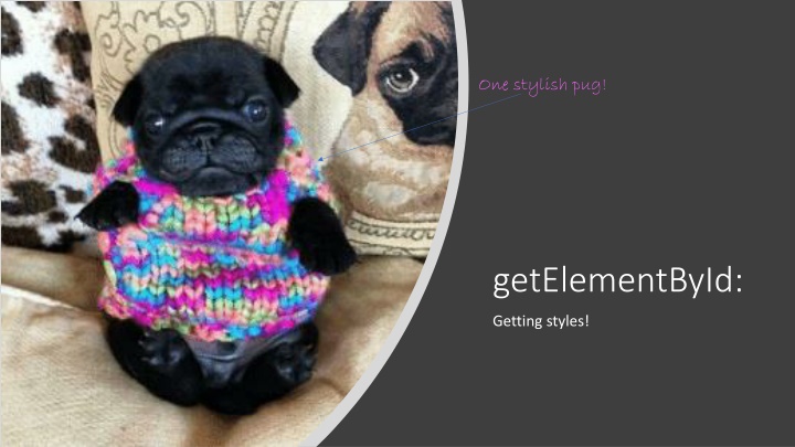 one stylish pug