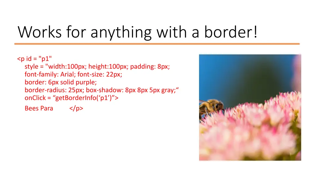 works for anything with a border