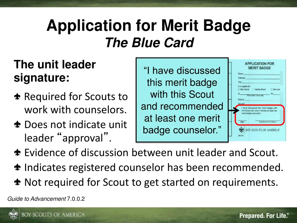 application for merit badge the blue card