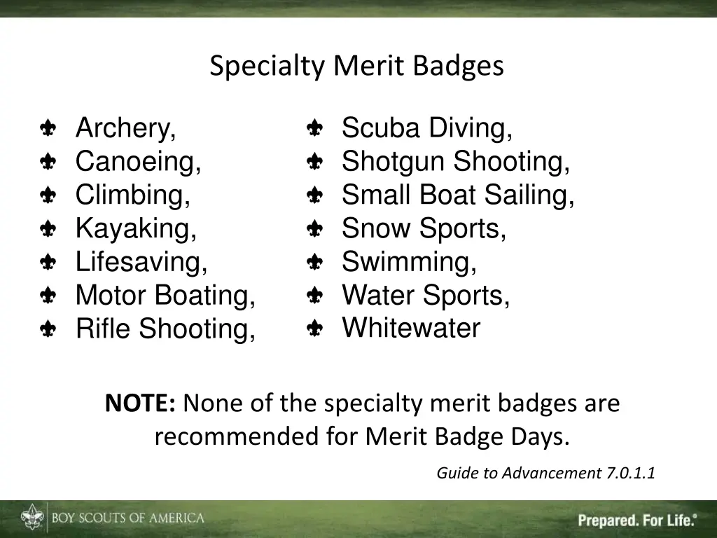 specialty merit badges