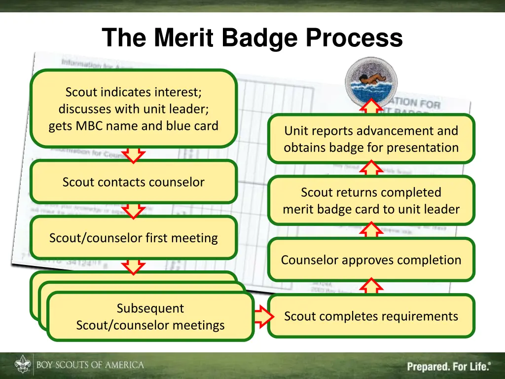the merit badge process