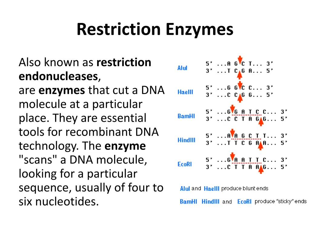 restriction enzymes