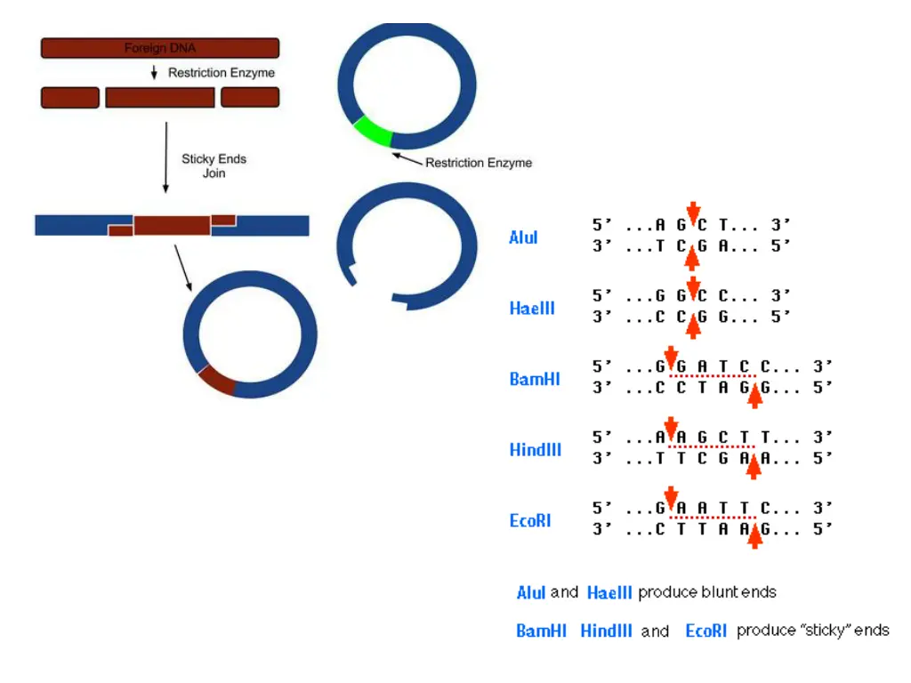 slide10