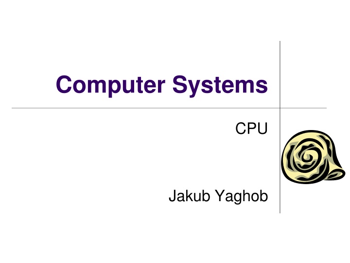 computer systems