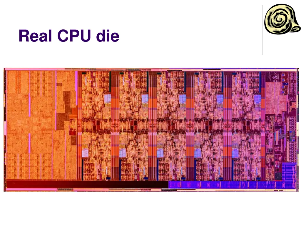 real cpu die