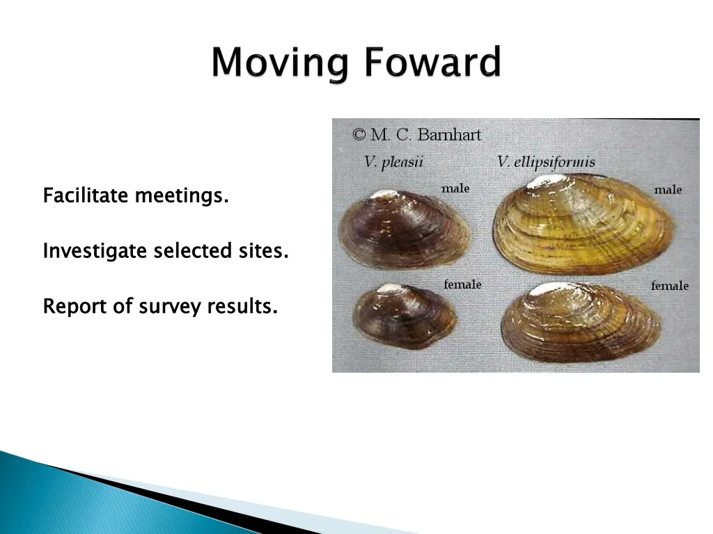 facilitate meetings