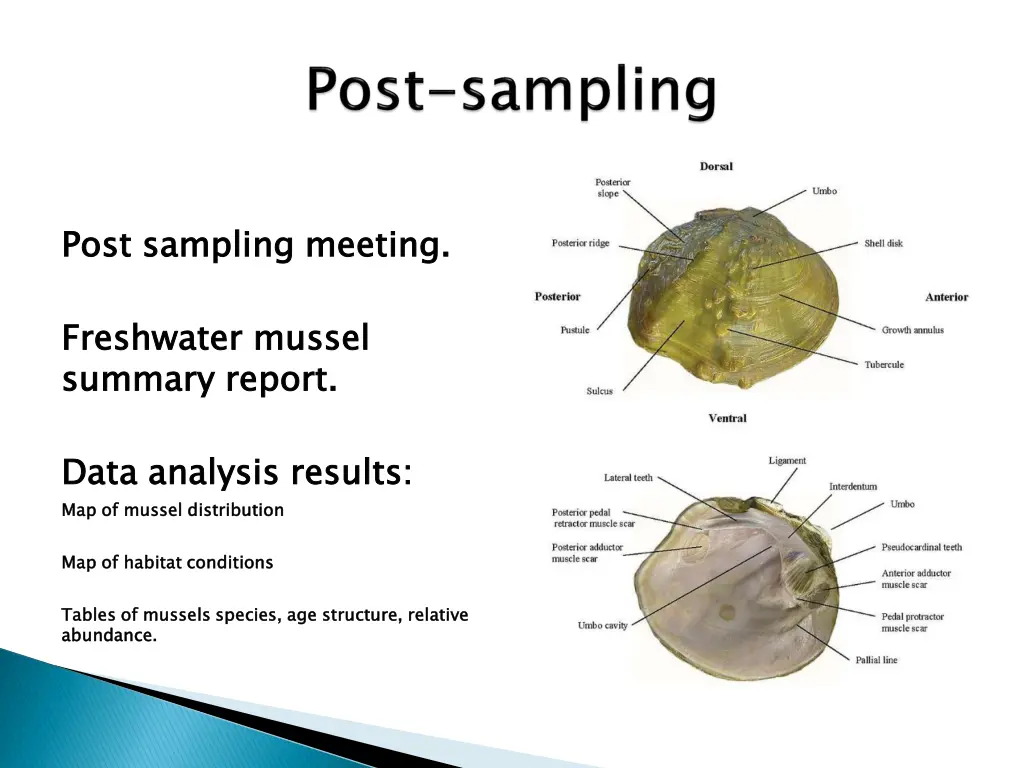 post sampling meeting