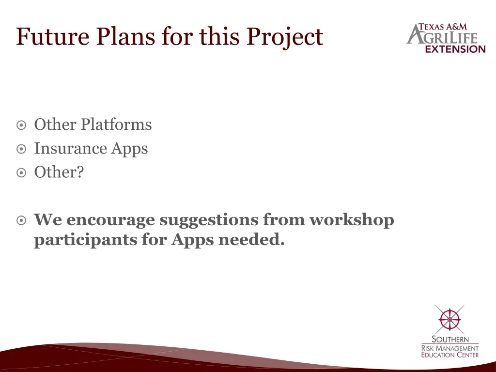 future plans for this project 1