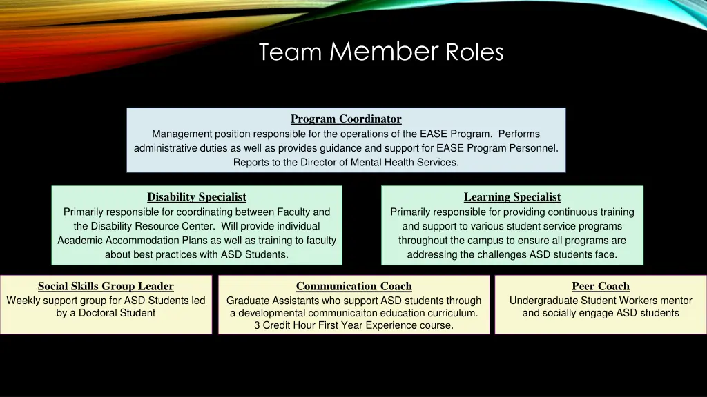 team member roles