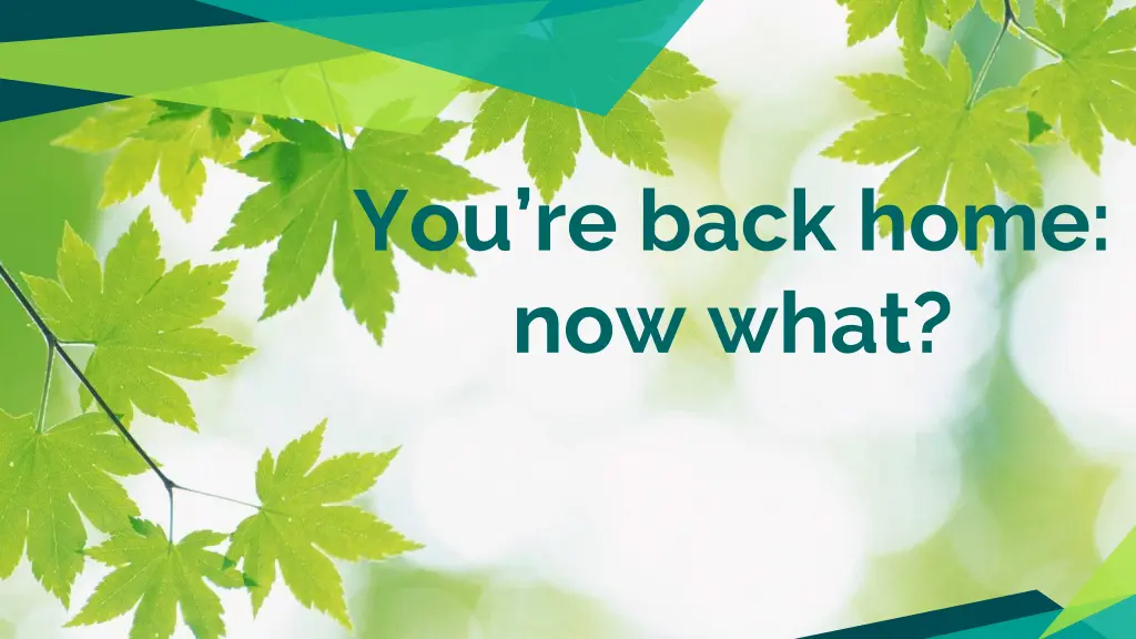 you re back home now what