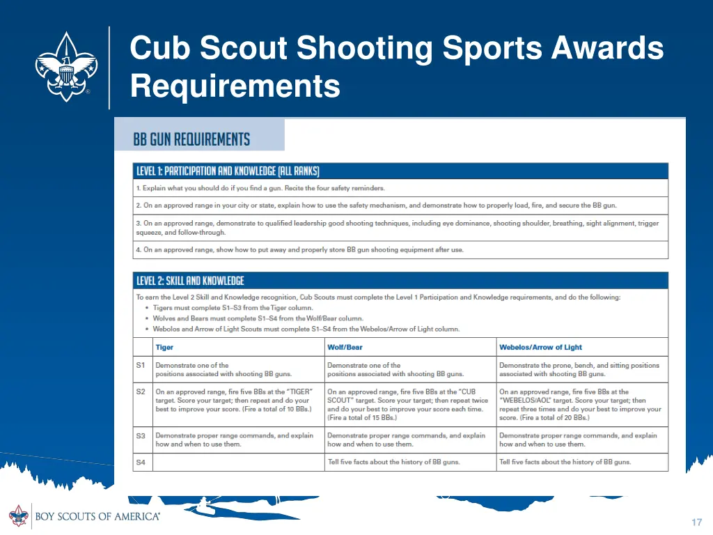 cub scout shooting sports awards requirements 1