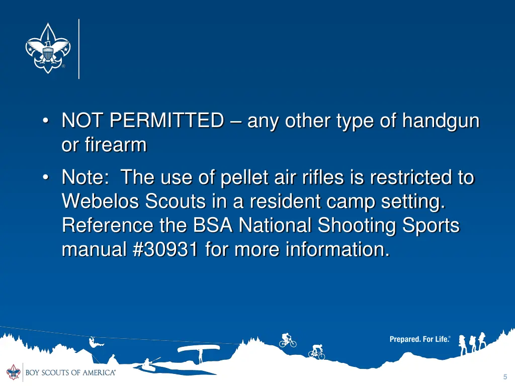 not permitted any other type of handgun