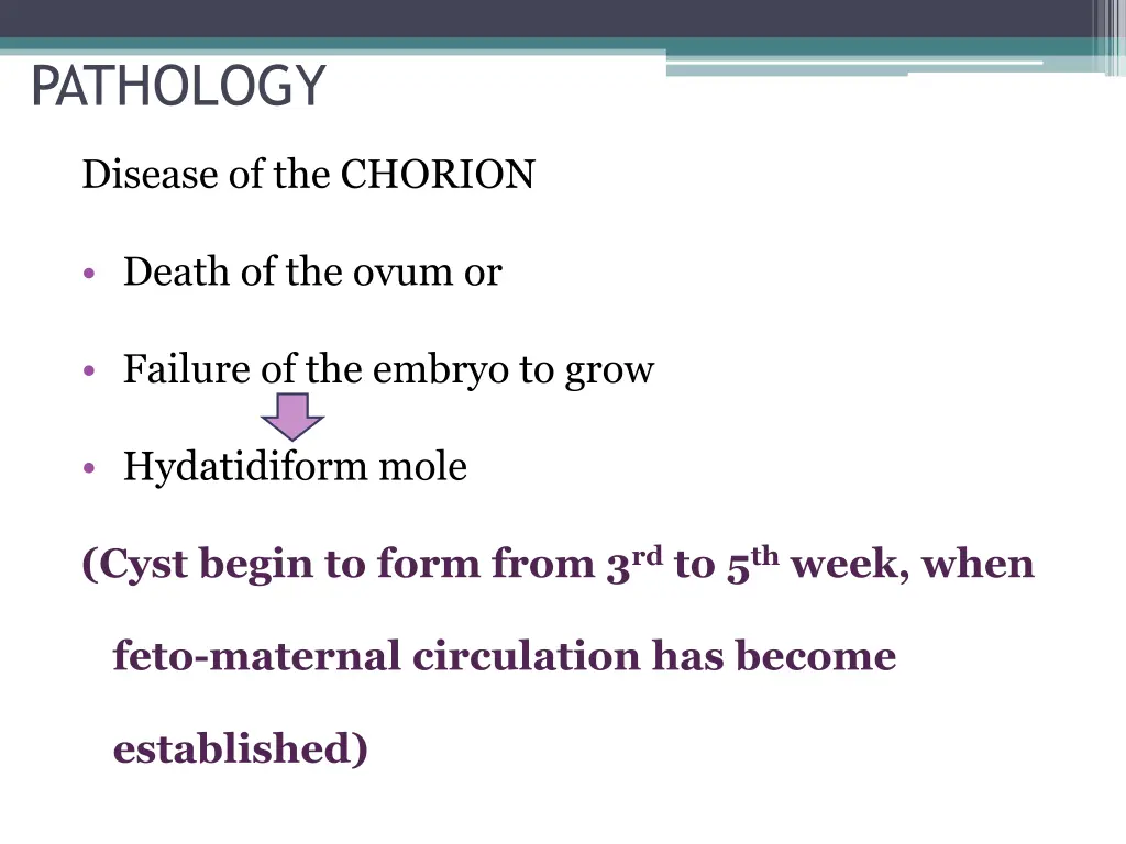 pathology