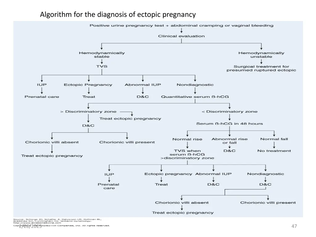 algorithm for the diagnosis of ectopic pregnancy