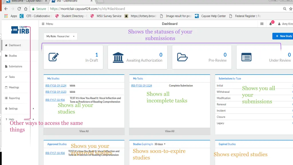 shows the statuses of your submissions