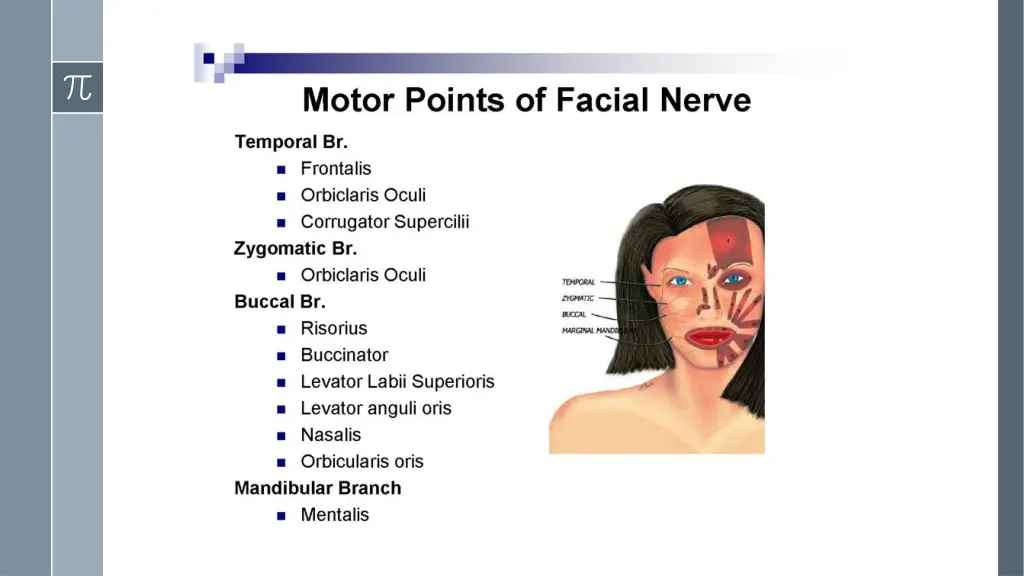 slide16