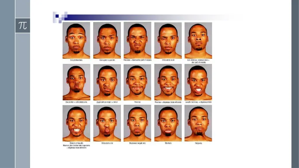 slide17