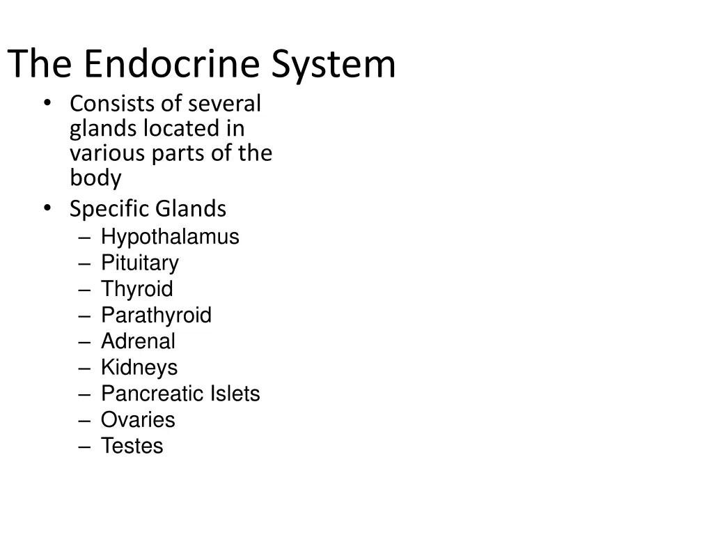 the endocrine system
