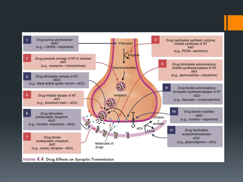 slide16