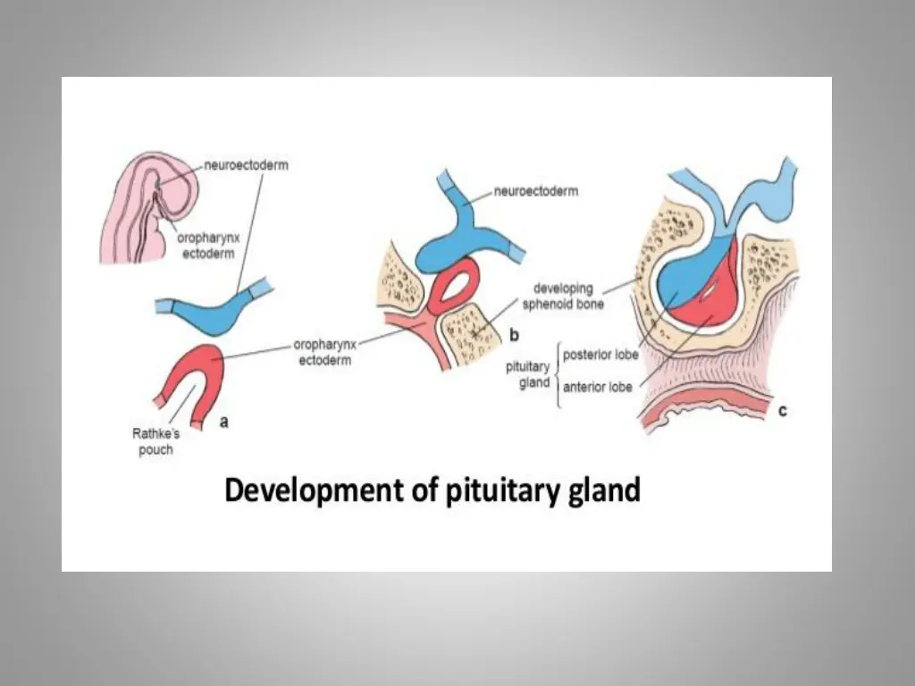 slide12