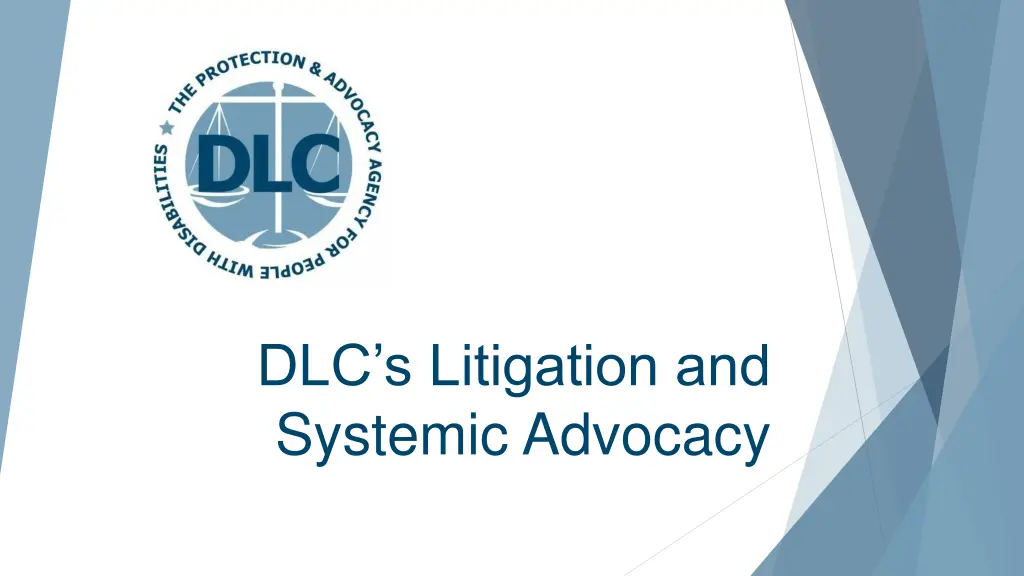 dlc s litigation and systemic advocacy