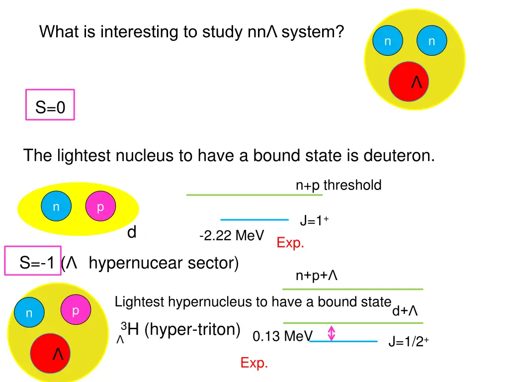 what is interesting to study nn system