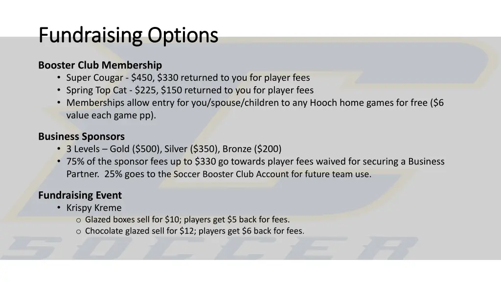 fundraising options fundraising options