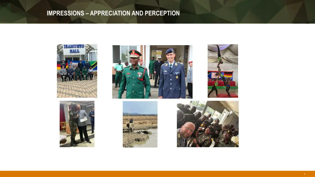 impressions appreciation and perception
