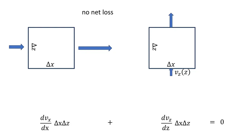 no net loss