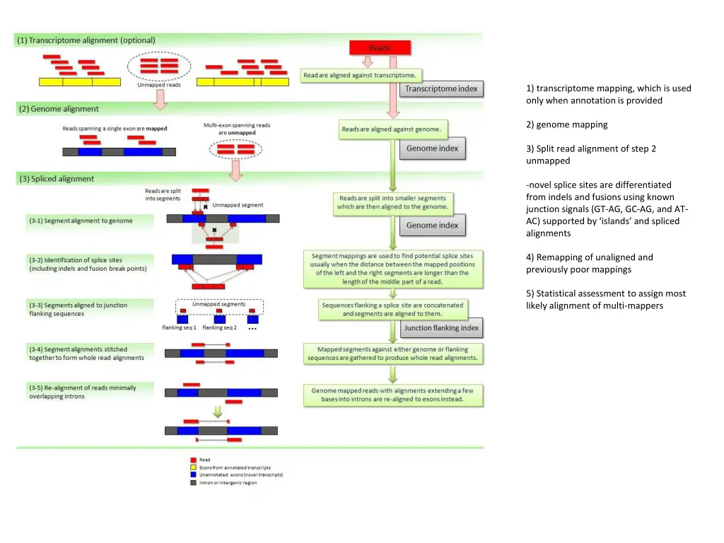 1 transcriptome mapping which is used only when