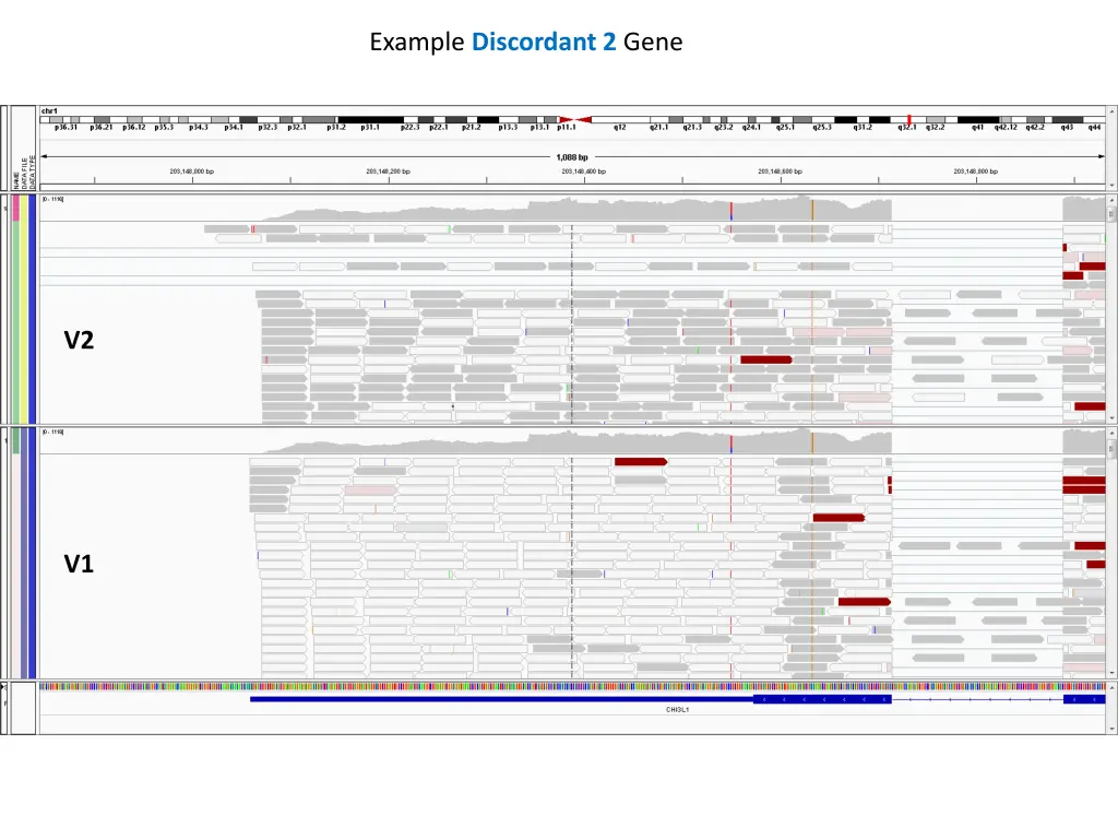 example discordant 2 gene