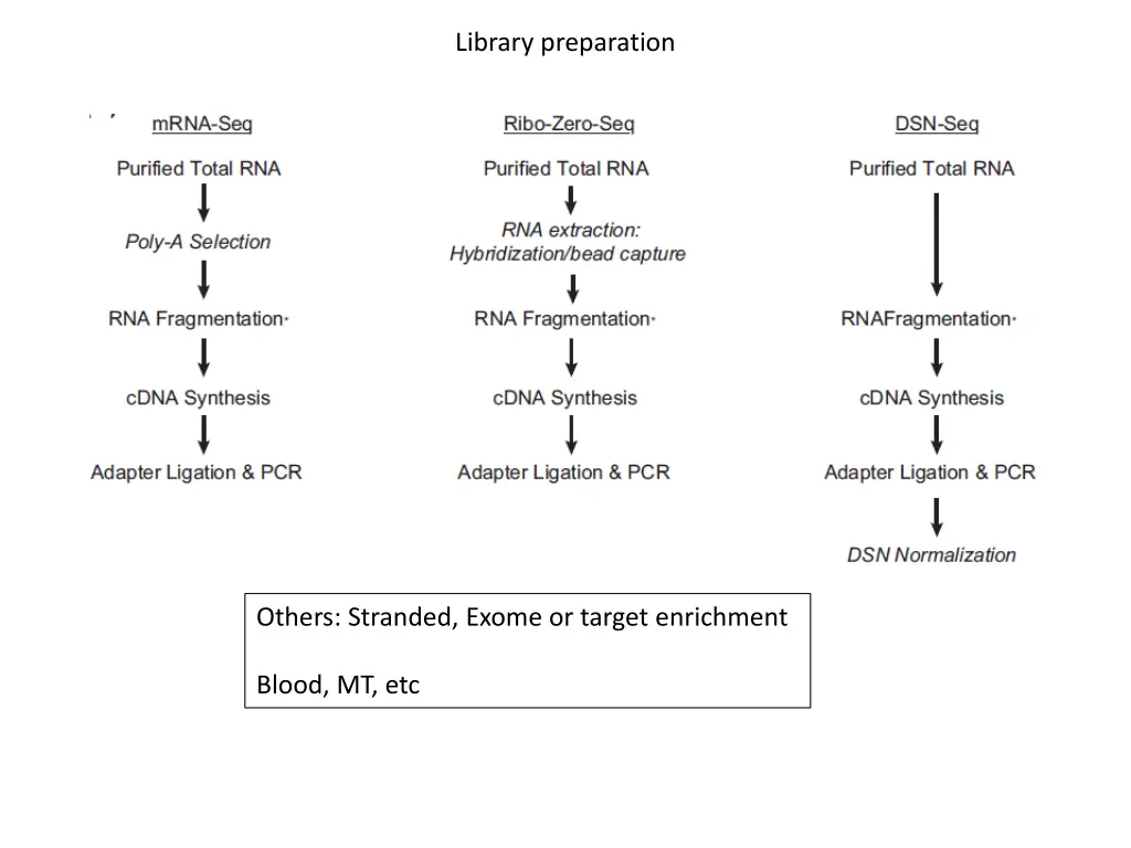 library preparation