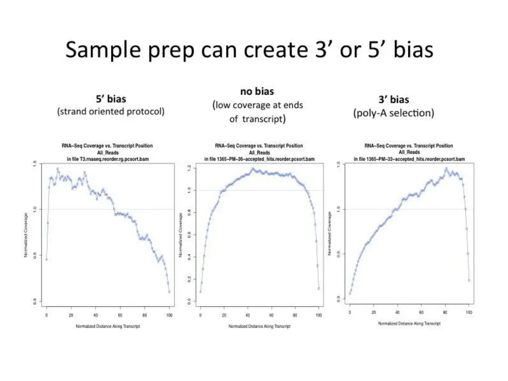 slide12