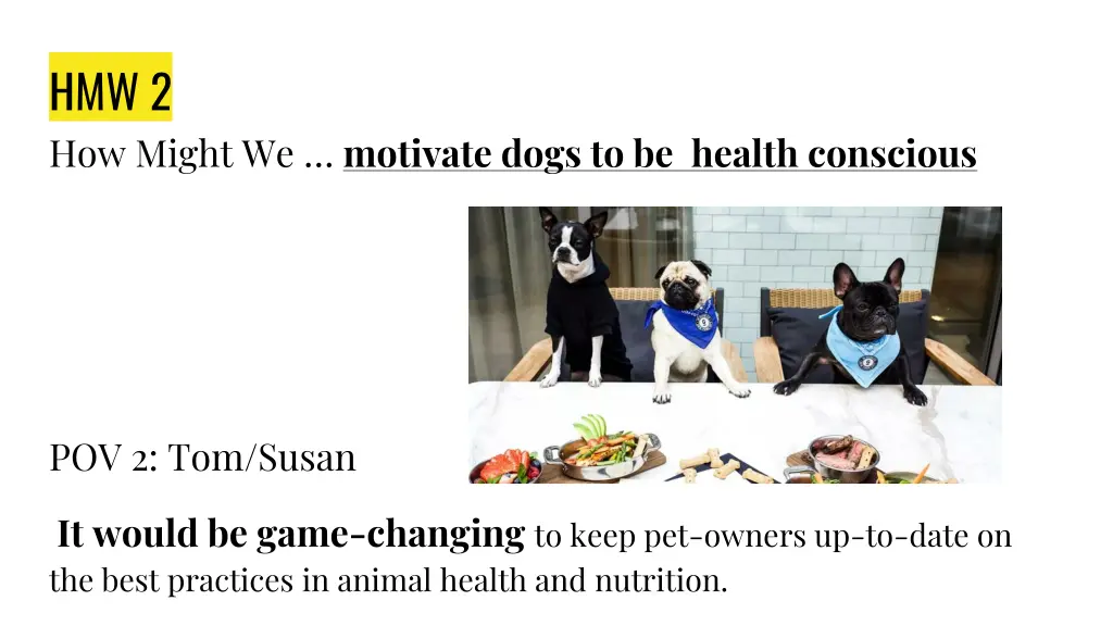hmw 2 how might we motivate dogs to be health