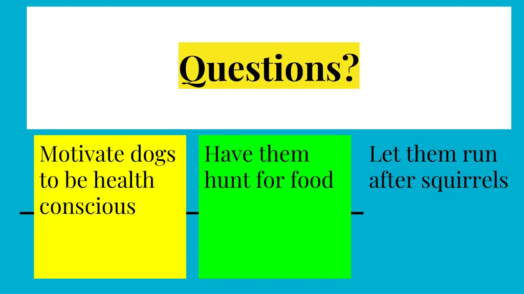 questions